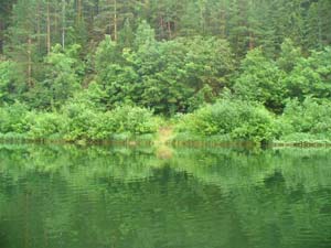 красота отражения